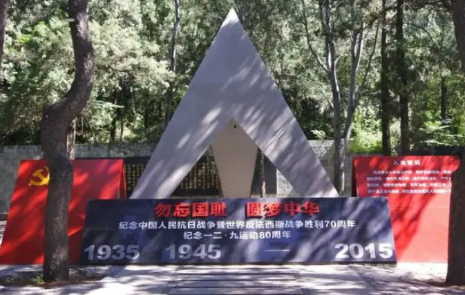 1701075143572146.png 1701075137800.png