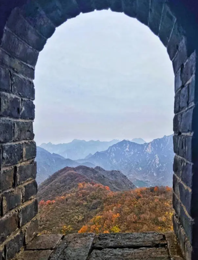 1701150819345870.png 1701150816562.png